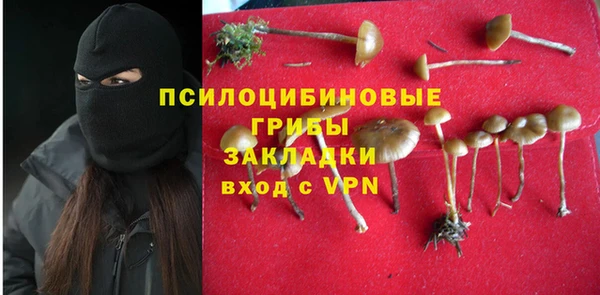 соль ск Алексеевка