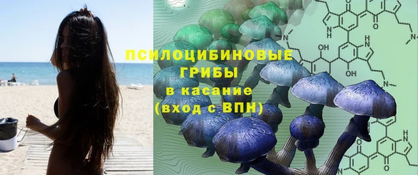 ПСИЛОЦИБИНОВЫЕ ГРИБЫ Алексин