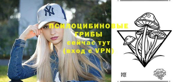бутират Алзамай