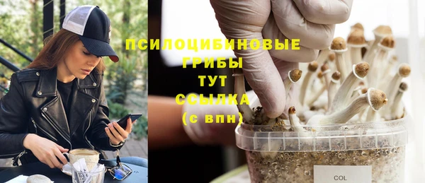 бутират Алзамай