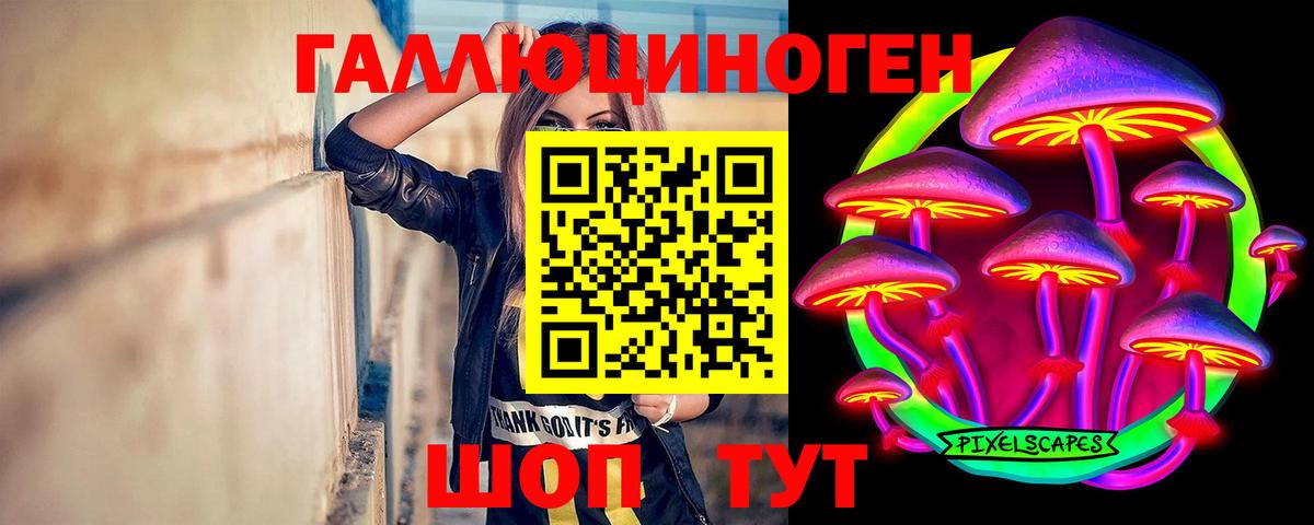 Псилоцибиновые грибы Cubensis  Вход с VPN  Кореновск  Псилоцибиновые грибы MAGIC MUSHROOMS 
